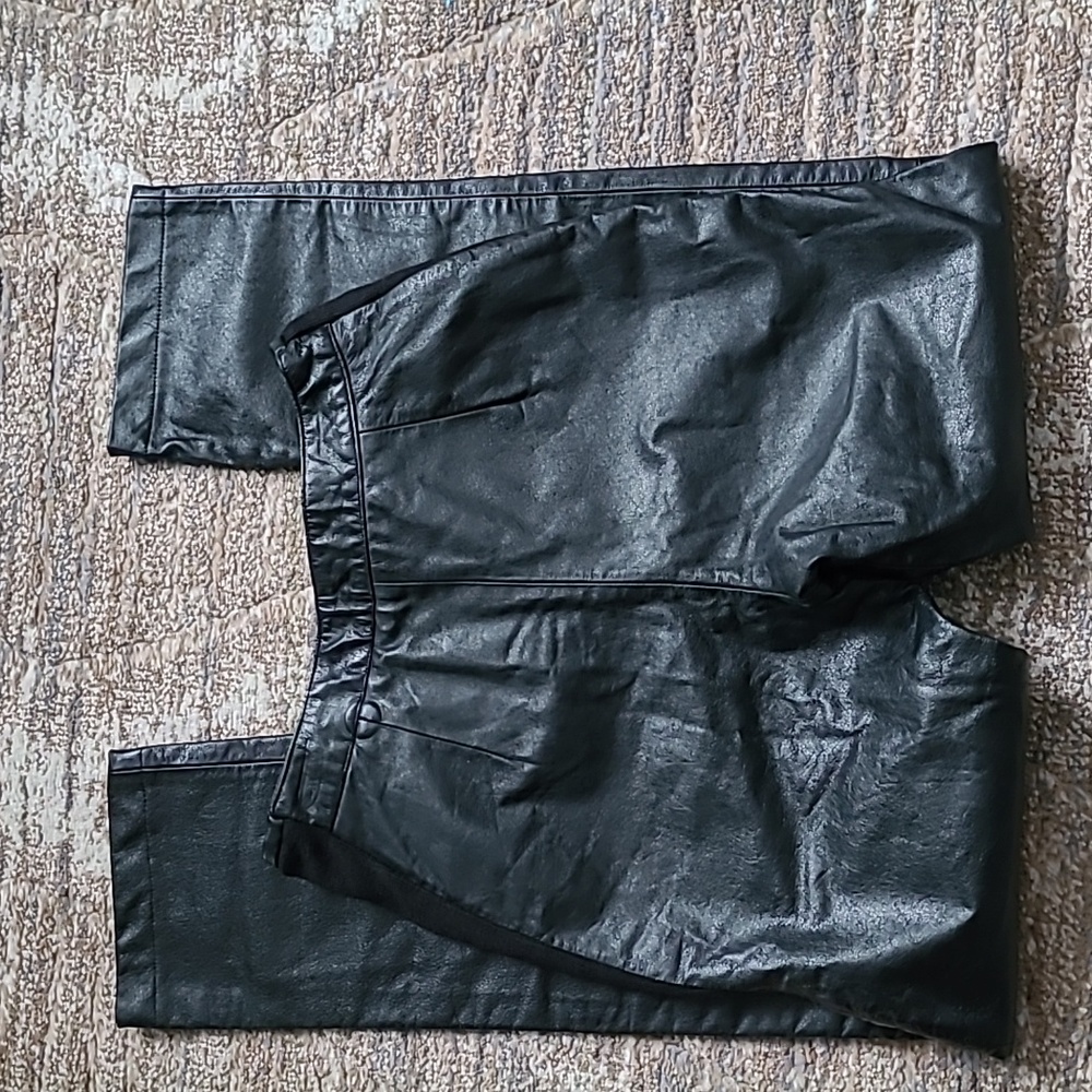 Danier leather pants